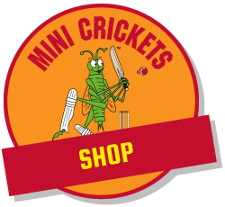 Childrens Cricket Shop