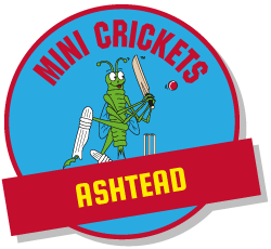 kids cricket classes ashtead