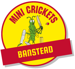 kids cricket classes banstead