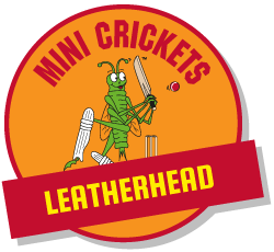 kids  cricket classes leatherhead