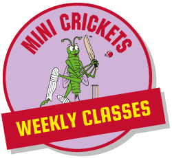 Childrens Cricket Classes