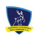 kids cricket classes chip stead club logo