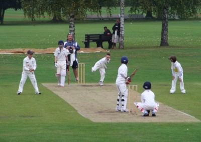 cricket_outdoors