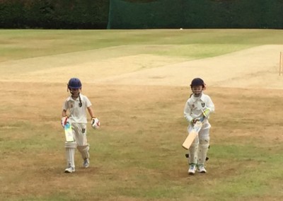 mini_crickets_cricketers